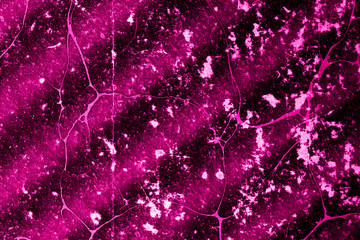 Vintage surface. Abstract image in dark and purple colors. Space for lettering or design. - obrazy, fototapety, plakaty