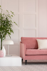 Fashionable velvet pastel pink couch in white living room interior with trendy design