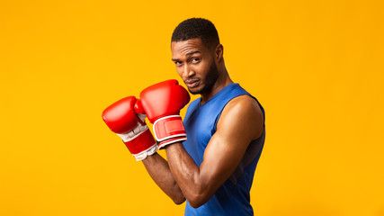 Handsome afro fighter demonstrating classical boxing stance