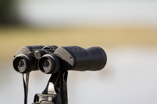 Bird watching with binoculars on tripod, spending time in nature birdwatching at the river with birding equipment, optics