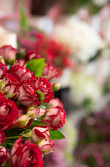 Bouquet with flower blossom. Floral background. Shallow depth photo. Soft toned colors.