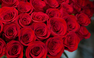 Bouquet with flower blossom. Floral background. Shallow depth photo. Soft toned colors.