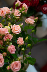 Bouquet with flower blossom. Floral background. Shallow depth photo. Soft toned colors.