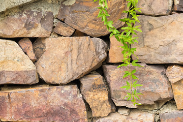 Rock fence