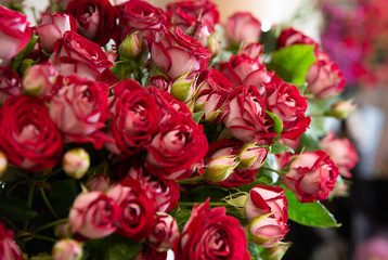 Bouquet with flower blossom. Floral background. Shallow depth photo. Soft toned colors.