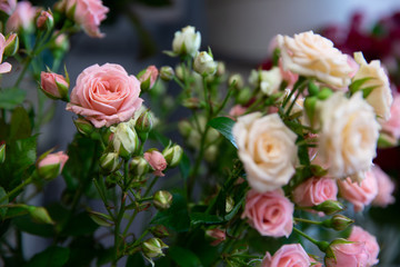 Obraz na płótnie Canvas Bouquet with flower blossom. Floral background. Shallow depth photo. Soft toned colors.