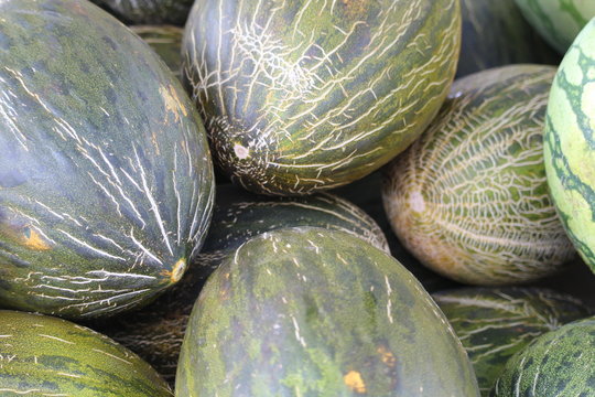 Extraordinary melons of beautiful color and delicious taste