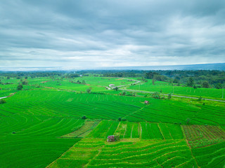 indonesia aerial view of panorama rice fields mountain range