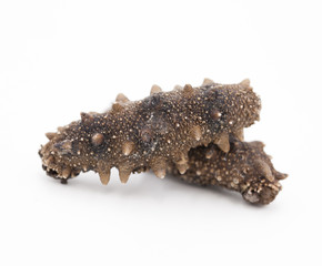 Dry sea cucumber