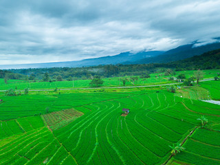 indonesia travel destination, aerial view of panorama rice fields