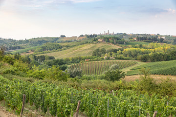 Fototapeta na wymiar landscape with green fields and San Gimignano town in the horizon, province of Siena, Tuscany, Italy