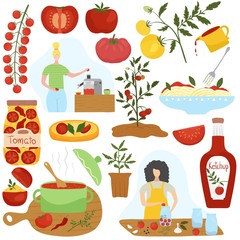 Tomato ingredient in different dishes, home cooking vector illustration. Homemade food, healthy vegetarian dish, Italian cuisine. Set of icons and stickers in modern flat style. Tomato sauce and pasta