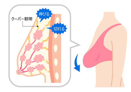 14 Best 垂れ乳 Images Stock Photos Vectors Adobe Stock