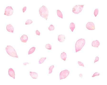 水彩　桜　花びら