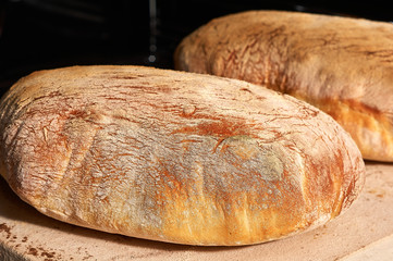 Crusty Homemade Ciabatta Bread.the process of making ciabatta at home. selective focus.