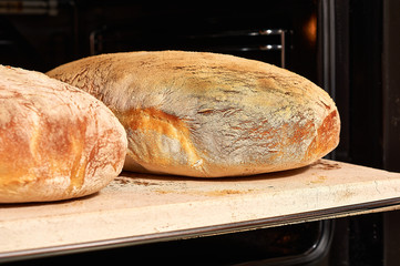 Crusty Homemade Ciabatta Bread.the process of making ciabatta at home. selective focus.