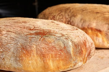 Crusty Homemade Ciabatta Bread.the process of making ciabatta at home. selective focus.