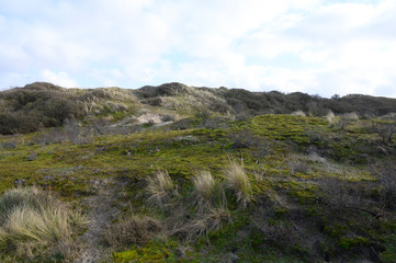 Blick über die Dünenlandschaft an der Nordseeküste