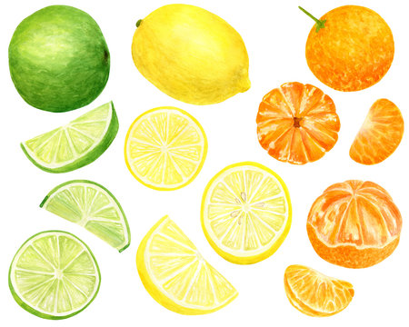 Watercolor fresh lemon, tangerine and lime set. Hand drawn botanical illustration of yellow, orange and green citrus fruits isolated on white background. Clipart for design and decor, package, cards.