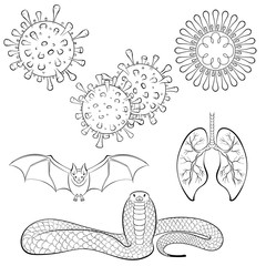 Coronavirus line art icons set. Viruses and probable carriers of infections bat and snake. Hand drawing vector illustration isolated on white background