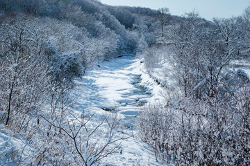 冬の川