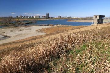土手に枯草のある早春の朝の江戸川風景