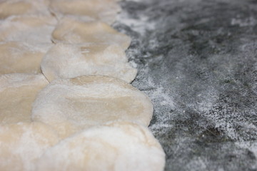 Dumplings for dumplings on a green table. Top view of the dough for ravioli and ravioli. Billets for ravioli broken