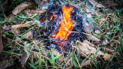 Close up view of fire burning the old dried old leaves in the garden.