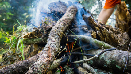 Close up view of hand making a campfire using the dried tree branches.