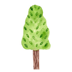 Tree, watercolor illustration
