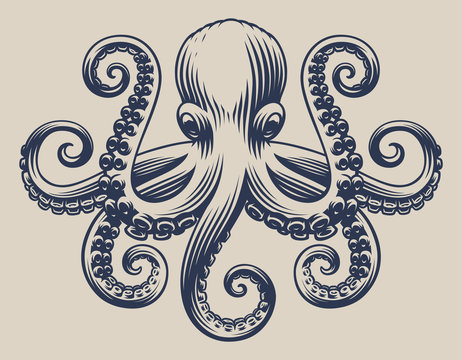 Vintage illustration with an octopus for seafood theme