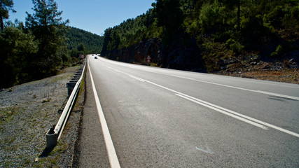 mountain roads covered with pine forests