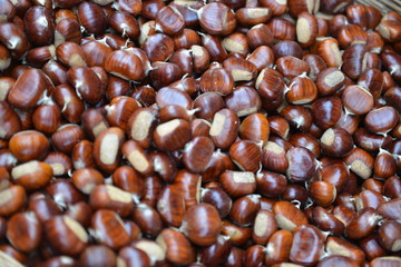 le castagne in autunno