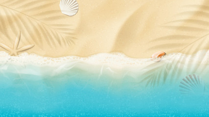 Top view on summer sea beach. Top view on ocean beach with soft waves. Beautiful background with seashells on sea sand. Vector illustration with plant's shadows.