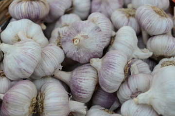 the garlic in the market