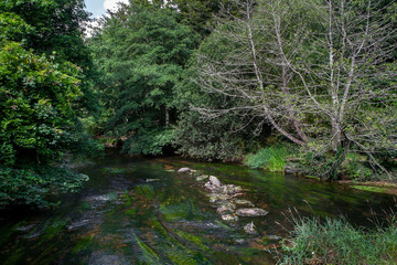 Pont-Aven, la rivière Aven