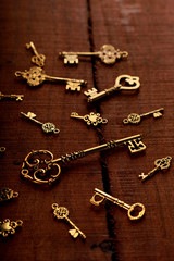 Fototapeta na wymiar Group of Golden Antique Keys on an old Wood Background
