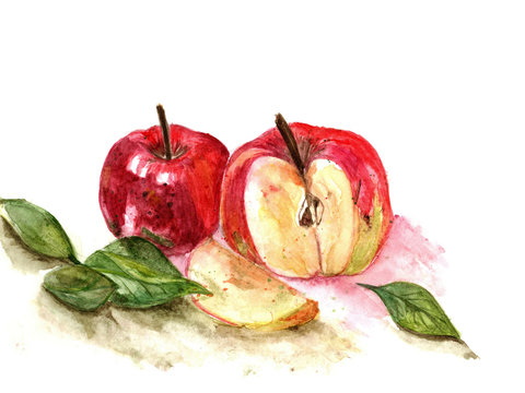 Watercolor illustration of juicy red apples with green foliage, sliced, on a white background. Figure fruit close-up.