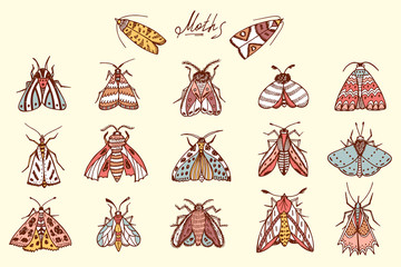 Butterflies. Moths. Hand drawn doodle moth vector set. Night butterflies.