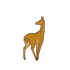 Wild deer female vector outline sketch illustration isolated on white background.