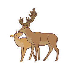 Wild deer love couple female and male buck with branched horns vector outline sketch illustration isolated on white background.