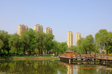 City park scenery, China