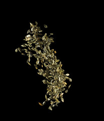 Pumpkin seeds splashing isolated on black background.