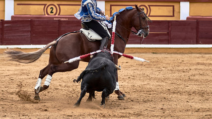 Tauromaquia a caballo en la plaza de toros durante la corrida de rejones.