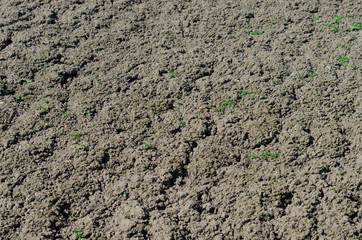 Sunlit plowed soil on a farm field for sowing in the springtime closeup