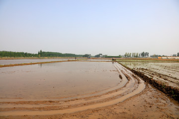 A field soaked in water