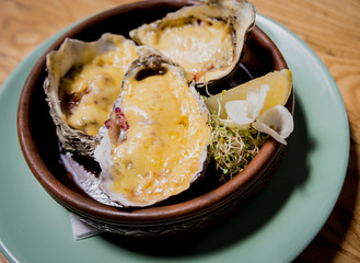 Fresh oysters under cheese on a plate with ice and flowers. Restaurant