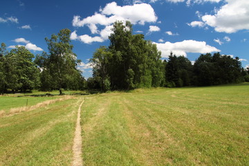 road through meadow