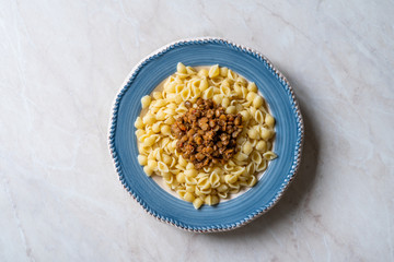 Italian Shell Pasta with Lentil Stew Bolognese