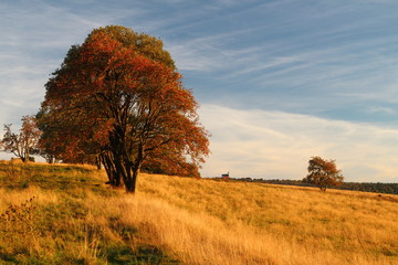 autumn in the mountains